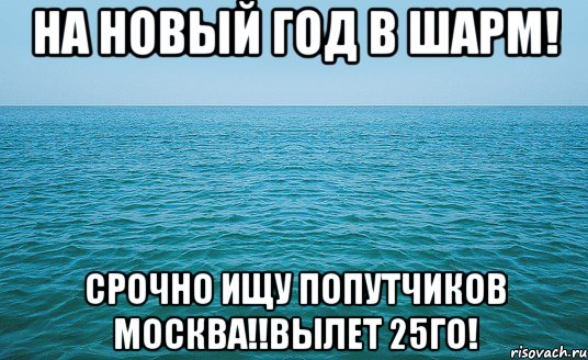 на новый год в шарм! срочно ищу попутчиков москва!!вылет 25го!