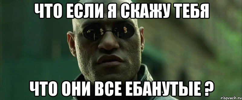 что если я скажу тебя что они все ебанутые ?