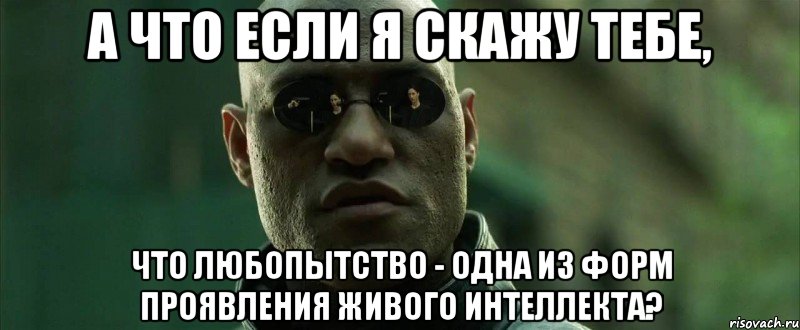 А что если я скажу тебе, что любопытство - одна из форм проявления живого интеллекта?, Мем  морфеус