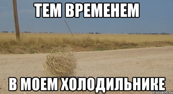 Тем временем в моем холодильнике, Мем перекати-поле одиночество