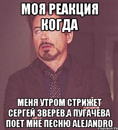 моя реакция когда меня утром стрижет Сергей Зверев,а Пугачева поет мне песню Alejandro, Мем  Мое выражение лица (вертик)