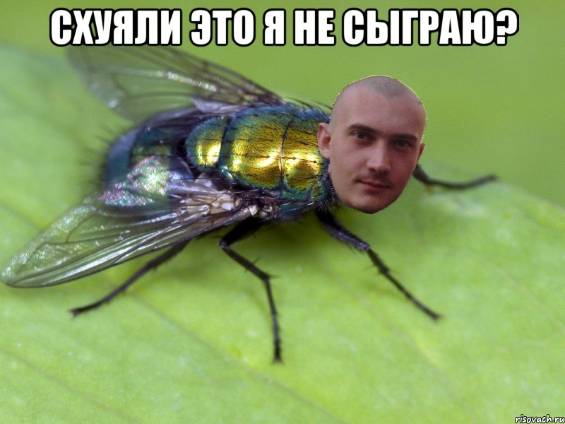 Схуяли это я не сыграю? 