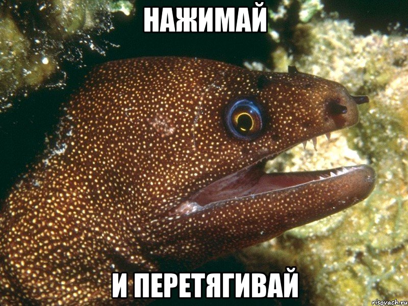 НАЖИМАЙ И ПЕРЕТЯГИВАЙ, Мем мурена