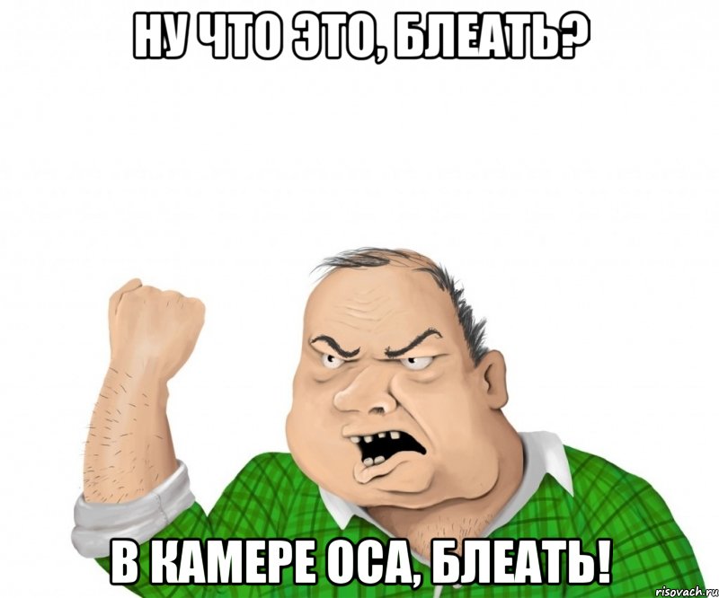 Ну что это, блеать? В камере оса, блеать!, Мем мужик