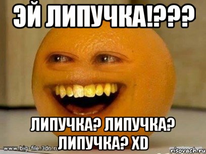 эй липучка!??? липучка? липучка? липучка? хd, Мем Надоедливый апельсин