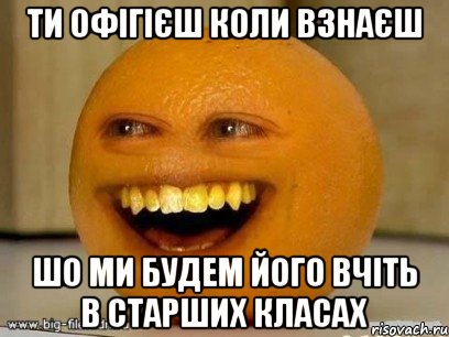 ти офігієш коли взнаєш шо ми будем його вчіть в старших класах, Мем Надоедливый апельсин