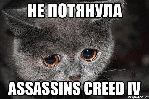 Не потянула Assassins Creed IV, Мем  Грустный кот