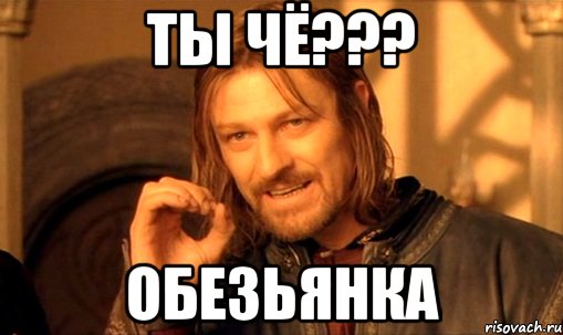 ты чё??? Обезьянка, Мем Нельзя просто так взять и (Боромир мем)