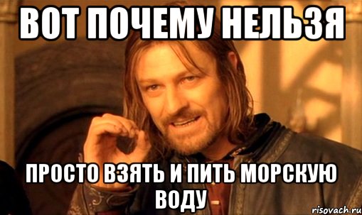 Вот почему нельзя просто взять и пить морскую воду, Мем Нельзя просто так взять и (Боромир мем)