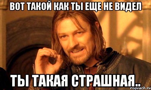 Вот такой как ты еще не видел ты такая страшная.., Мем Нельзя просто так взять и (Боромир мем)