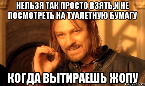Нельзя так просто взять,и не посмотреть на туалетную бумагу Когда вытираешь жопу, Мем Нельзя просто так взять и (Боромир мем)