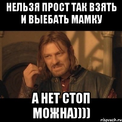 НЕЛЬЗЯ ПРОСТ ТАК ВЗЯТЬ И ВЫЕБАТЬ МАМКУ А НЕТ СТОП МОЖНА)))), Мем Нельзя просто взять