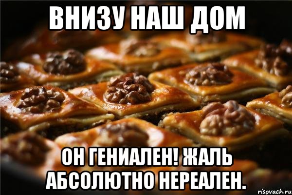 внизу наш дом он гениален! жаль абсолютно нереален., Мем незаслуженная похвала