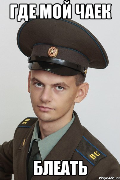 где мой чаек блеать