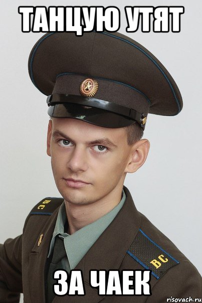 танцую утят за чаек