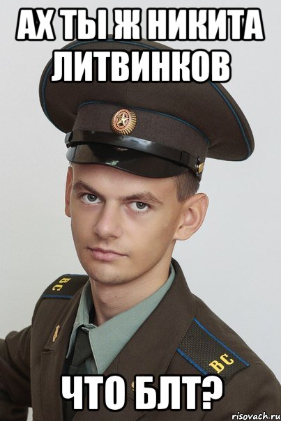 ах ты ж никита литвинков что блт?