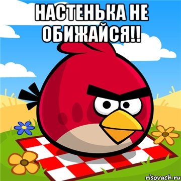 Настенька не обижайся!! , Мем Никто не смеет обижать Настю