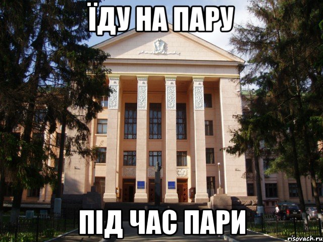 їду на пару під час пари, Мем Нму