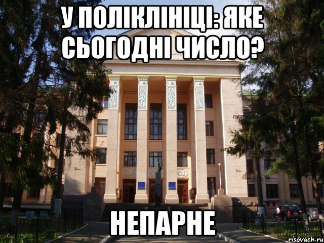 у поліклініці: яке сьогодні число? непарне