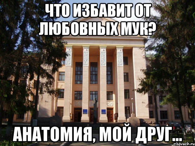 что избавит от любовных мук? анатомия, мой друг...