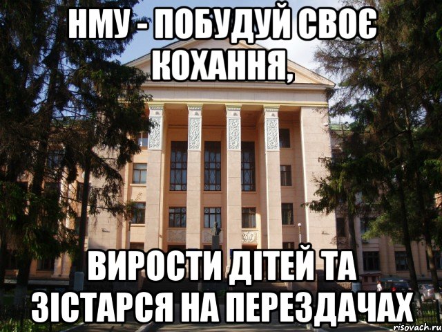 нму - побудуй своє кохання, вирости дітей та зістарся на перездачах