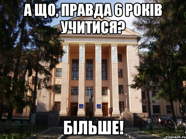 А що, правда 6 років учитися? БІЛЬШЕ!