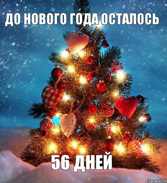 до нового года осталось 56 дНей, Мем  новый год