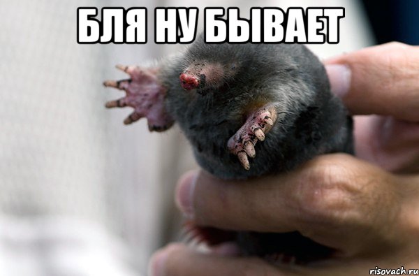 бля ну бывает , Мем Ну бывает