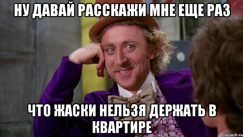 ну давай расскажи мне еще раз что жаски нельзя держать в квартире, Мем Ну давай расскажи (Вилли Вонка)