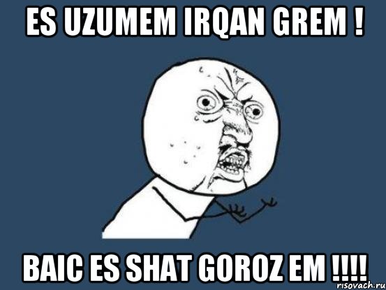 Es uzumem irqan grem ! Baic es shat GOROZ EM !!!!, Мем Ну почему