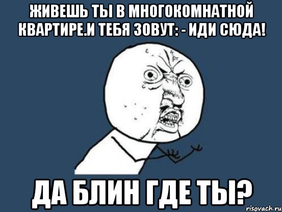 Живешь ты в многокомнатной квартире.И тебя зовут: - Иди сюда! Да блин где ты?, Мем Ну почему