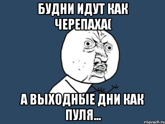 Будни идут как черепаха( А выходные дни как пуля..., Мем Ну почему