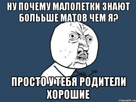 ну почему малолетки знают болььше матов чем я? просто у тебя родители хорошие, Мем Ну почему