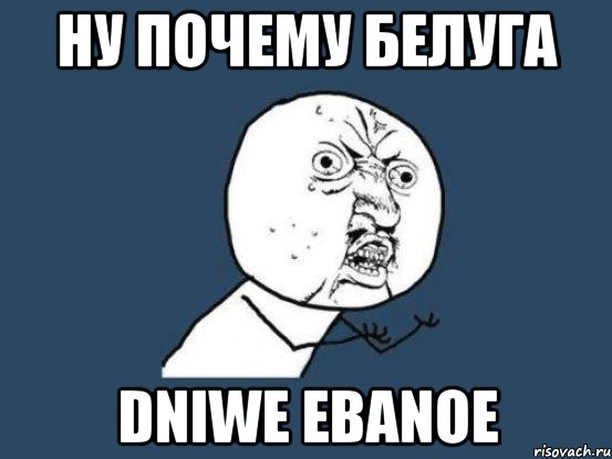 Ну почему Белуга DNIWE EBANOE, Мем Ну почему