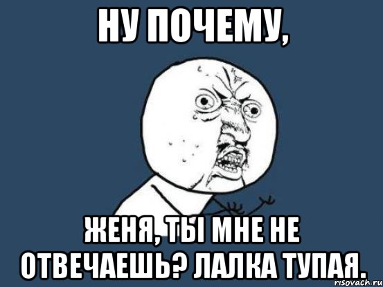 Ну почему, Женя, ты мне не отвечаешь? Лалка тупая., Мем Ну почему