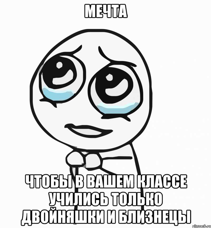 мечта чтобы в вашем классе учились только двойняшки и близнецы, Мем  ну пожалуйста (please)