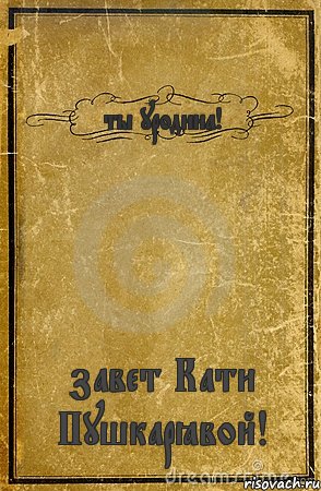 ты уродина! завет Кати Пушкарёвой!, Комикс обложка книги