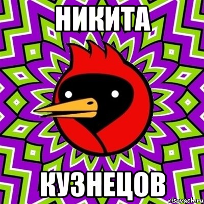 никита кузнецов, Мем Омская птица