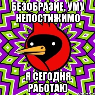 безобразие. уму непостижимо я сегодня работаю, Мем Омская птица