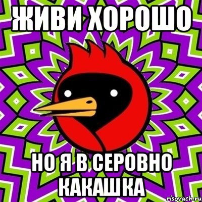 живи хорошо но я в серовно какашка, Мем Омская птица