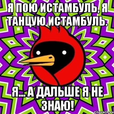 я пою истамбуль, я танцую истамбуль. я... а дальше я не знаю!, Мем Омская птица