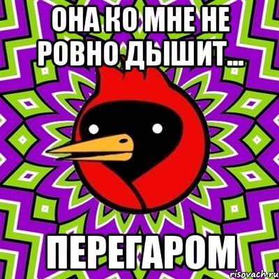 она ко мне не ровно дышит... перегаром, Мем Омская птица