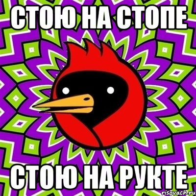 стою на стопе стою на рукте, Мем Омская птица