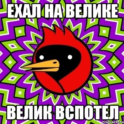 ехал на велике велик вспотел, Мем Омская птица