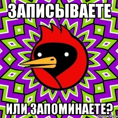 записываете или запоминаете?, Мем Омская птица