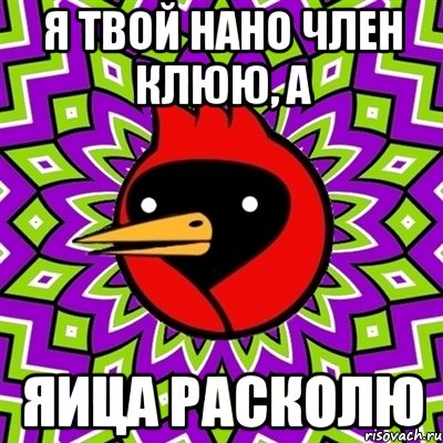 я твой нано член клюю, а яица расколю, Мем Омская птица