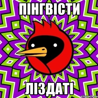пінгвісти ліздаті, Мем Омская птица