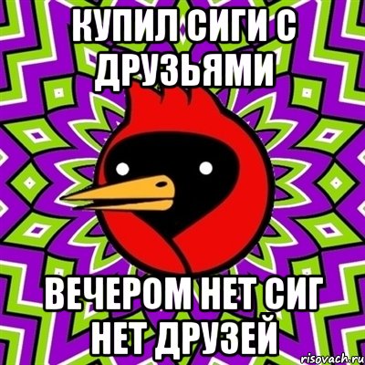 купил сиги с друзьями вечером нет сиг нет друзей, Мем Омская птица
