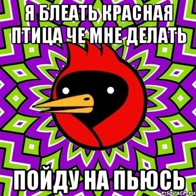 я блеать красная птица че мне делать пойду на пьюсь, Мем Омская птица