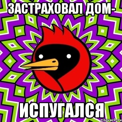 застраховал дом- испугался, Мем Омская птица